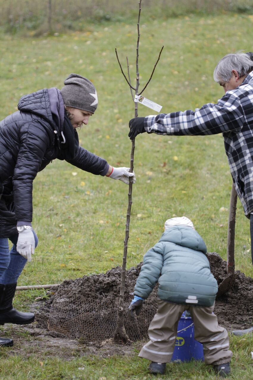 Es sind mehrere Generationen beim Baumpflanzen zu sehen.