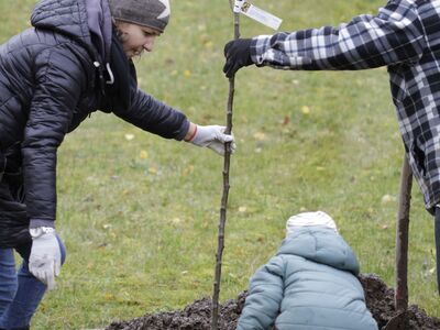 Es sind mehrere Generationen beim Baumpflanzen zu sehen.